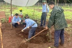 War dead remains found on Gia Lai coffee farm after villagers' discovery
