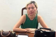 Foreign tourist arrested over villa theft in Danang
