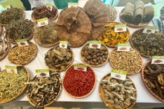 Vietnam records 7 million traditional medicine consultations