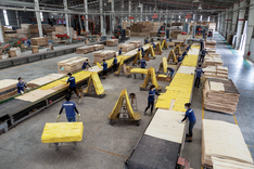 Vietnam wood exports top USD 10 billion as Europe demand surges