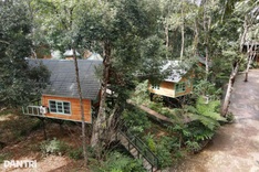 Mang Den Treehouse nominated for global tourism award