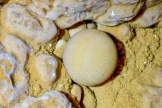 Stunning calcite pools discovered in Phong Nha-Ke Bang cave
