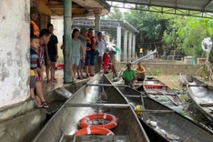 Twin toddlers drown in Quang Binh flooded home