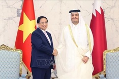 Vietnamese, Qatari PMs agree to lift bilateral relations to new height soon