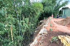 Riverbank erosion threatens Quang Ngai households