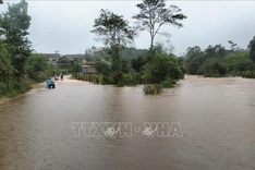 Binh Dinh faces flooding, landslides due to torrential rain