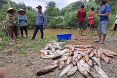 Over 1.3 tonnes of fish died of suspected poisoning