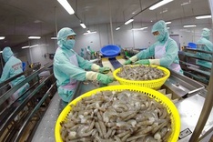 Shrimp exports surge in 10 months, generating 3.2 billion USD