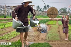 Quang Nam to host UN international conference on rural tourism