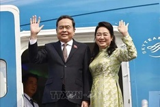 NA Chairman leaves for official visits to Singapore, Japan