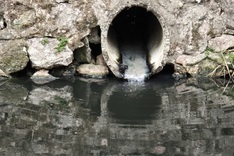Hanoi lakes battle severe pollution