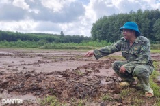 Mud slide from expressway projects hit Quang Tri fields