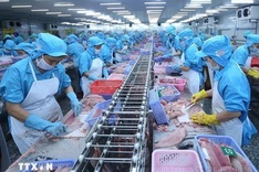 Vietnam’s seafood export hits 1 billion USD mark for October