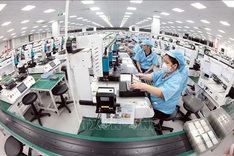 FDI remains vital contributor to boost economic growth