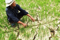 Mekong Delta faces increased saltwater intrusion in 2024-25 dry season