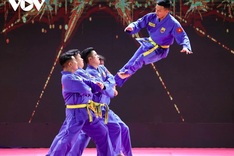 Ho Chi Minh City to host international martial arts festival