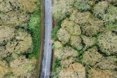 Beauty of primaeval forest in Nghe An