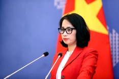 FM spokesperson on Vietnamese national killed in Singapore