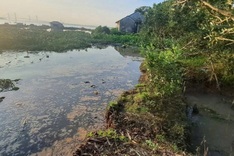 50 households evacuated due to landslides at Vinh Long river