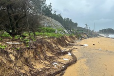Quang Ngai coastline struggles with severe erosion