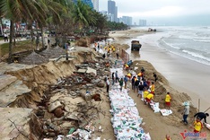 Erosion-hit beach in Danang reinforced