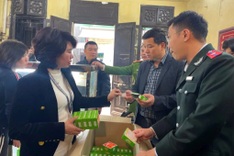 Hanoi's renowned green rice cake maker fined for violations