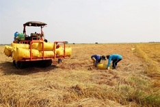 Eight rice enterprises awarded for emissions reduction
