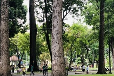 HCM City strives to have one square metre of green space per capita by 2030