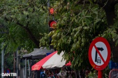 Hanoi traffic signage almost covered