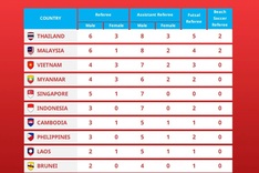 Vietnam has third largest number of FIFA referees in Southeast Asia