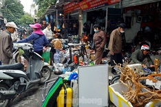 Hanoi antique market bustling ahead of Tet