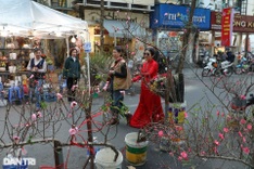 Famous Hanoi flower market attracts Tet shoppers