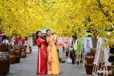 Cultural festivals take centre stage in Tet tourism push