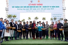 10,000 trees granted to Thai Binh Province