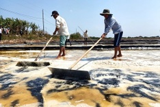 Bac Lieu to host salt festival in March