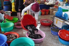 People rush to buy fish for First Full Moon Festival