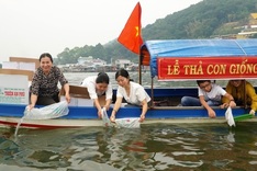 More than two million aquatic species released into Kien Giang lagoon