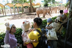 Saigon Zoo sees sharp fall in profit amid tax issues