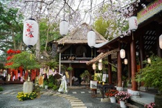 Pagoda on Danang mountain draws visitors