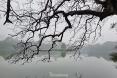 A dreamy Hanoi in drizzling rain and mist