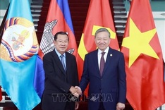 Top leaders of Vietnamese, Cambodian Parties meet in HCM City