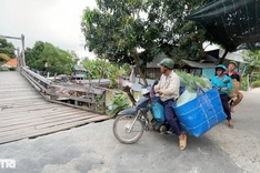 An Giang poor commune needs support to replace deteriorating wooden bridge