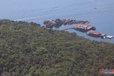 Phu Quoc forest earmarked for waste treatment plant construction