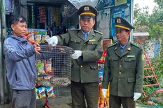 Hue resident hands over rare python