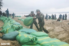 Hundreds mobilised to reinforce Quang Ngai beach