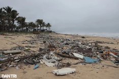 Beaches at Lang Co Bay severely polluted