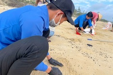 Oil slick in Hue nearly 10 times larger than estimated