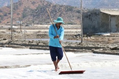 Ninh Thuan salt farmers busy on century-old salt fields