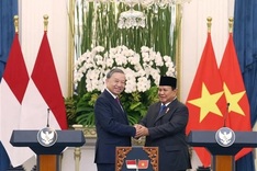 Vietnamese Party leader, Indonesian President co-chair press meeting