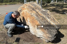 Trove of dinosaur footprints found at Australian school